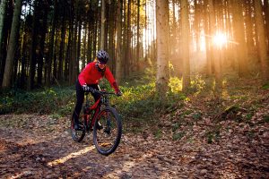 Mountainbiken im Winter