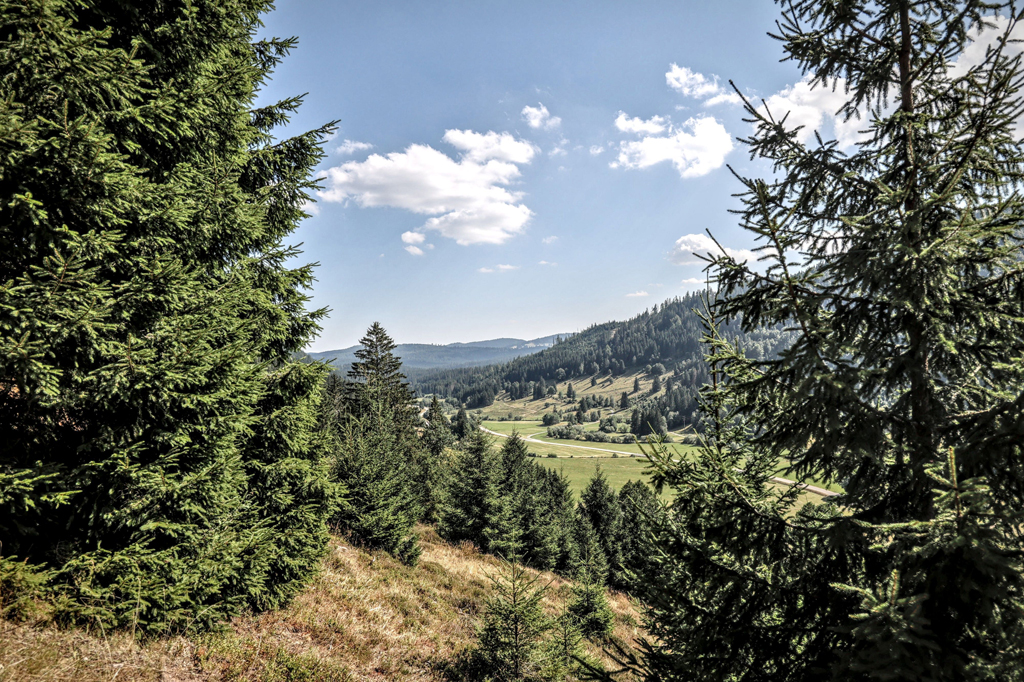 Gravel Rallye im Schwarzwald