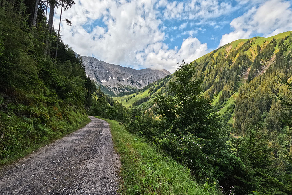 Mountainbike Tour zur Gartner Alm