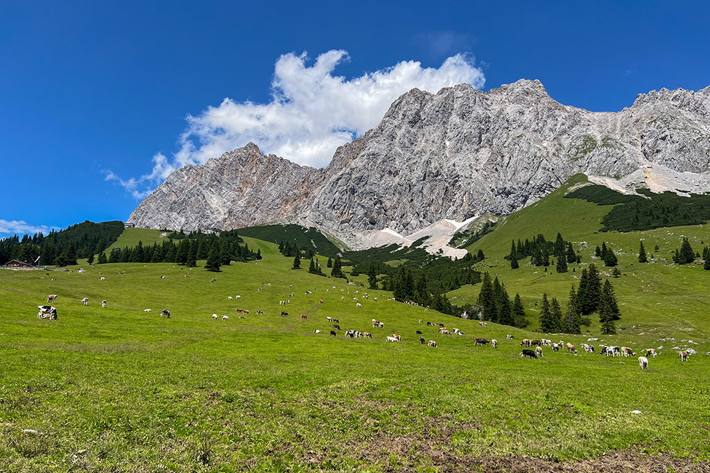 Ehrwalder Alm