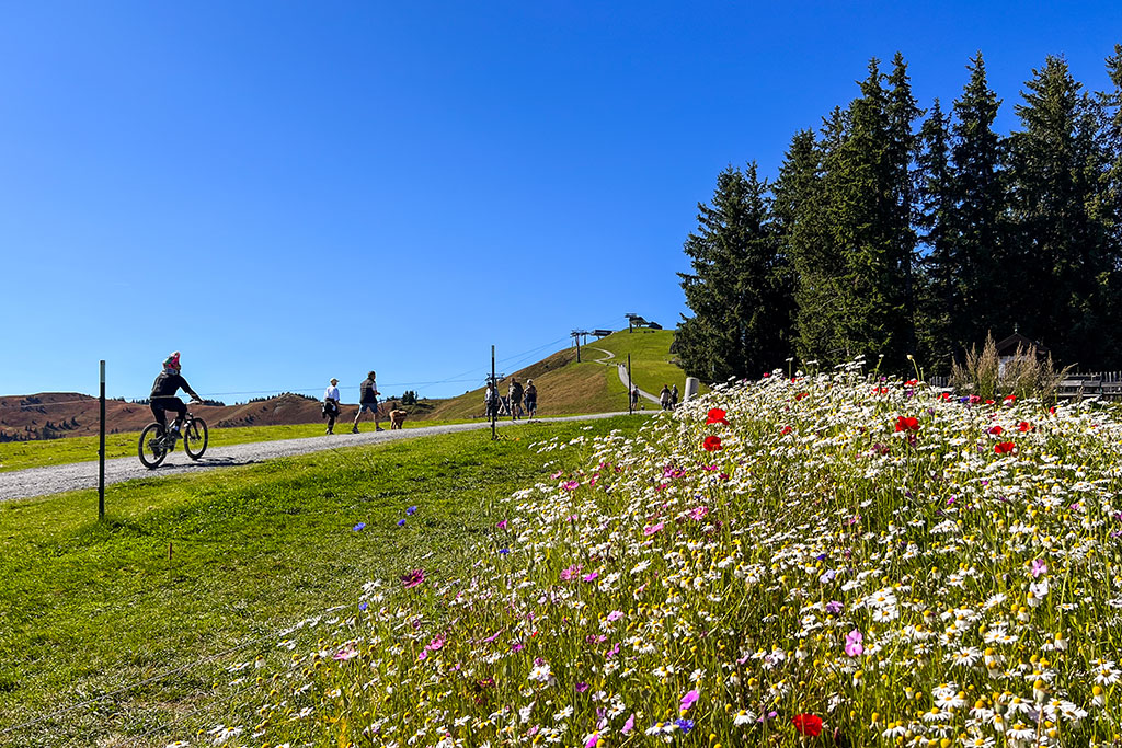 Blick auf den großen Sitz