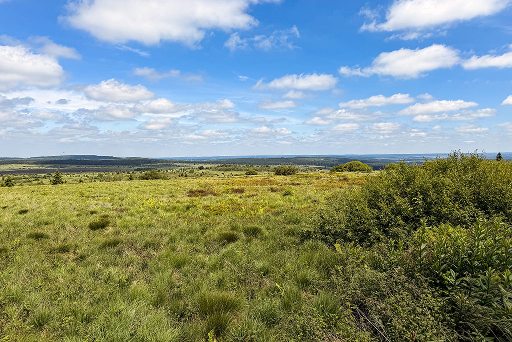 Aussichtsplattform Hohes Venn