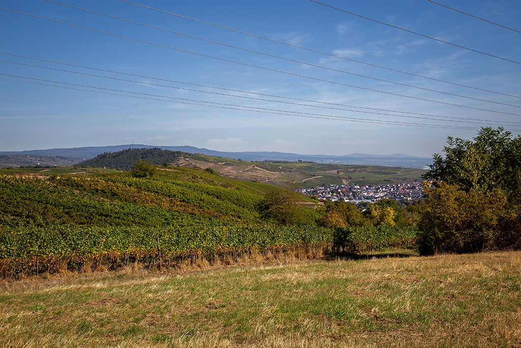 Aussicht auf Bingen und Umgebung