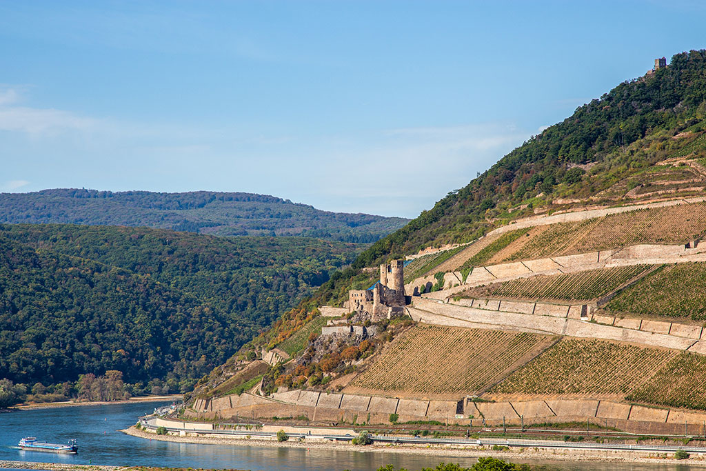 Blick auf die Burg Ehrenfels