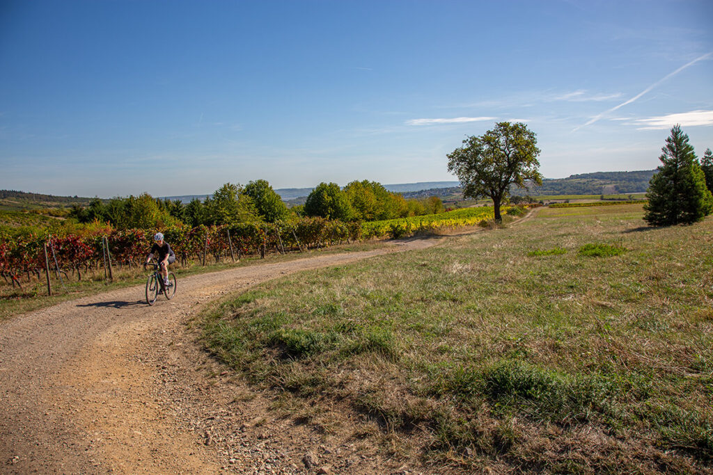 Gravelbiken in den Weinbergen